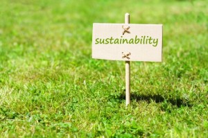 business sustainability