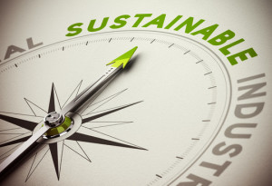 Why Sustainability Matters