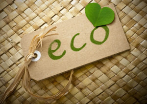 eco-friendly businesses