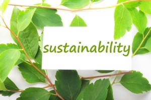 The Art of Expanding Your Business Sustainably