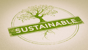 sustainability success stories